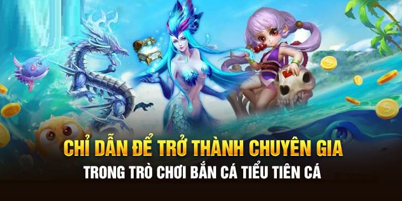 Chỉ dẫn của chuyên gia dành cho ngư thủ